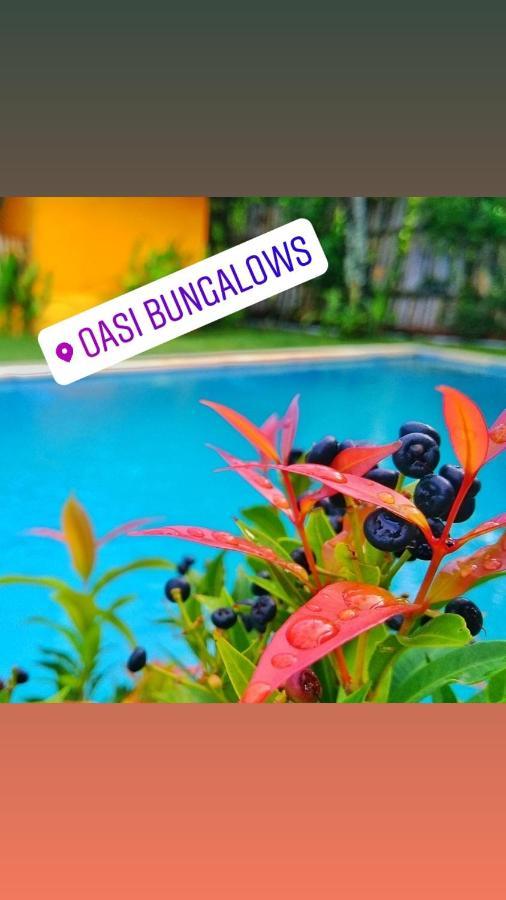 Oasi Bungalows Hotel Gili Air Ngoại thất bức ảnh