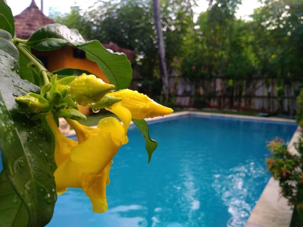 Oasi Bungalows Hotel Gili Air Ngoại thất bức ảnh